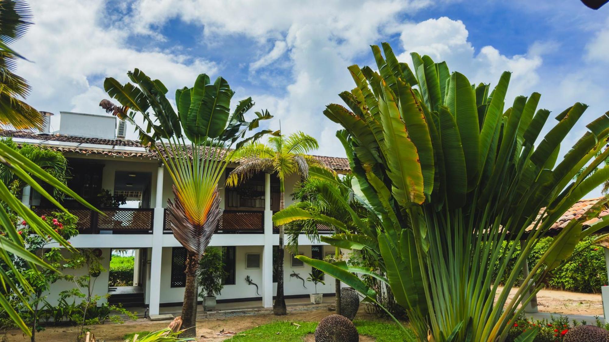 Casa Acayu Hotel São Miguel dos Milagres Екстериор снимка