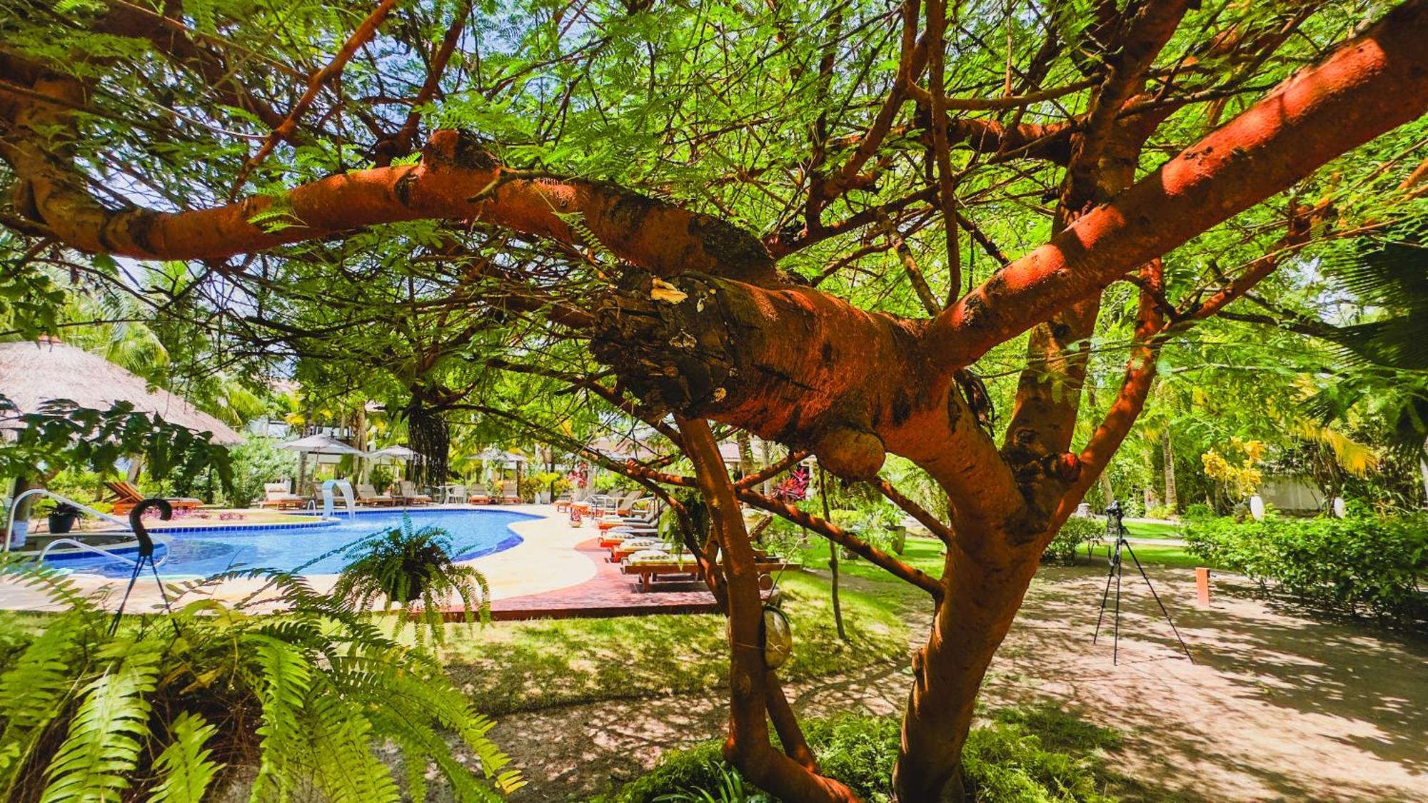 Casa Acayu Hotel São Miguel dos Milagres Екстериор снимка